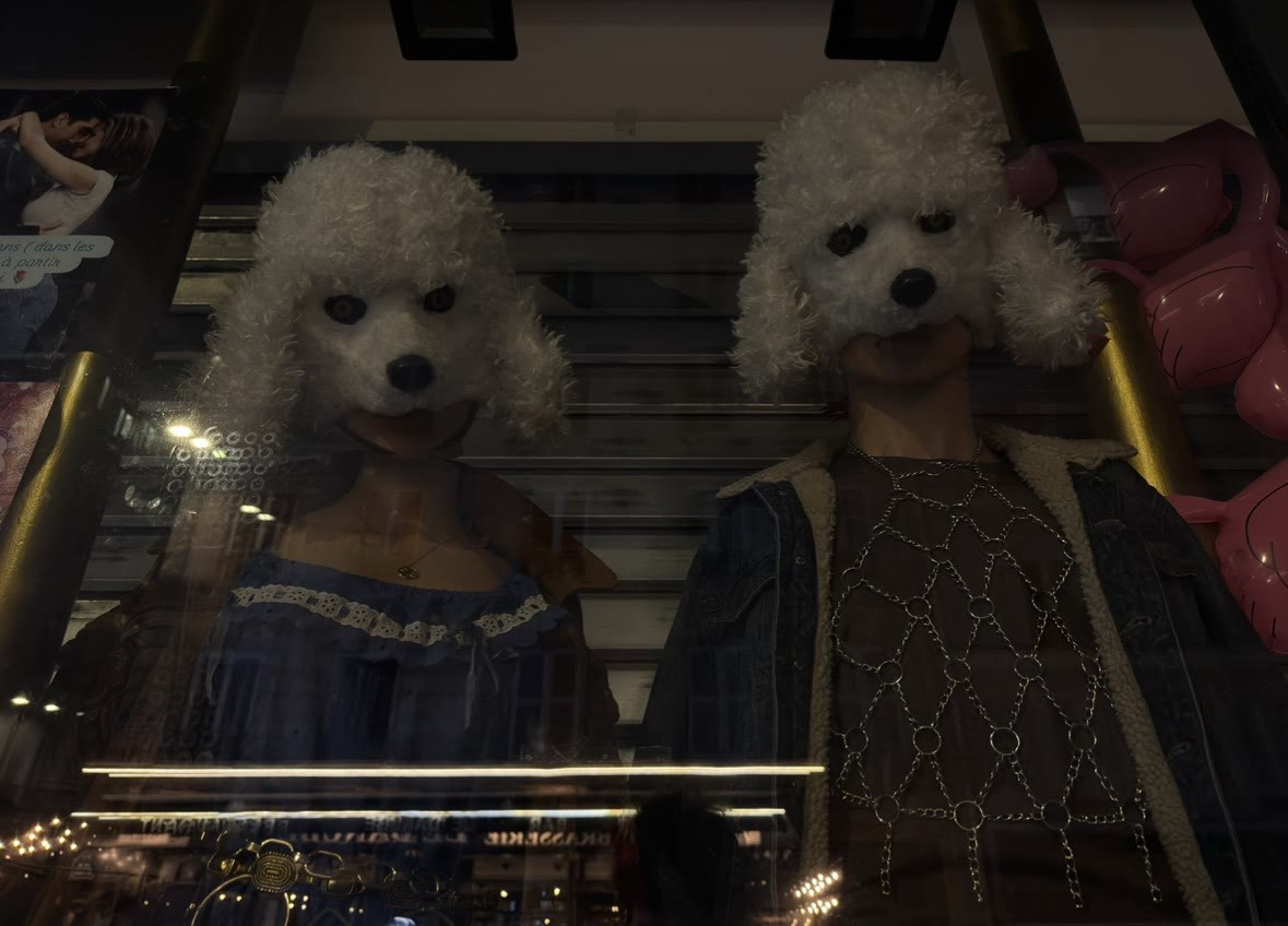 Two dressed animal figures in a shop window